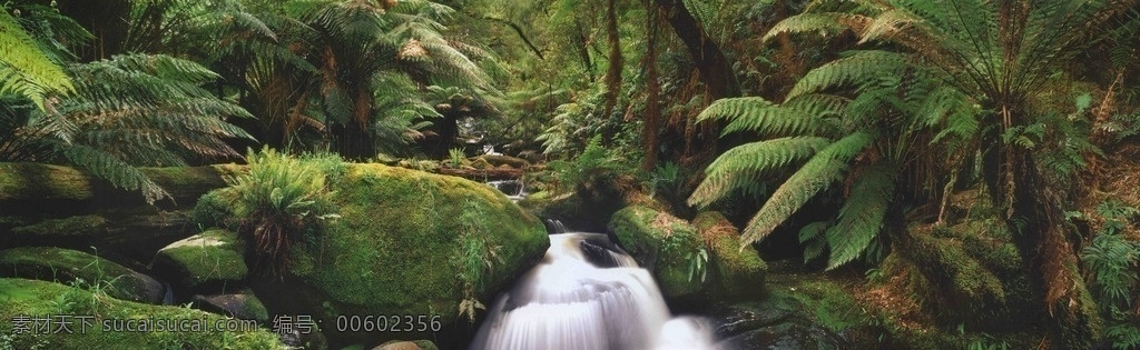 山水风景 风景图片 山水 树木 远山 湖水 自然风景 风景图 自然景观 瀑布