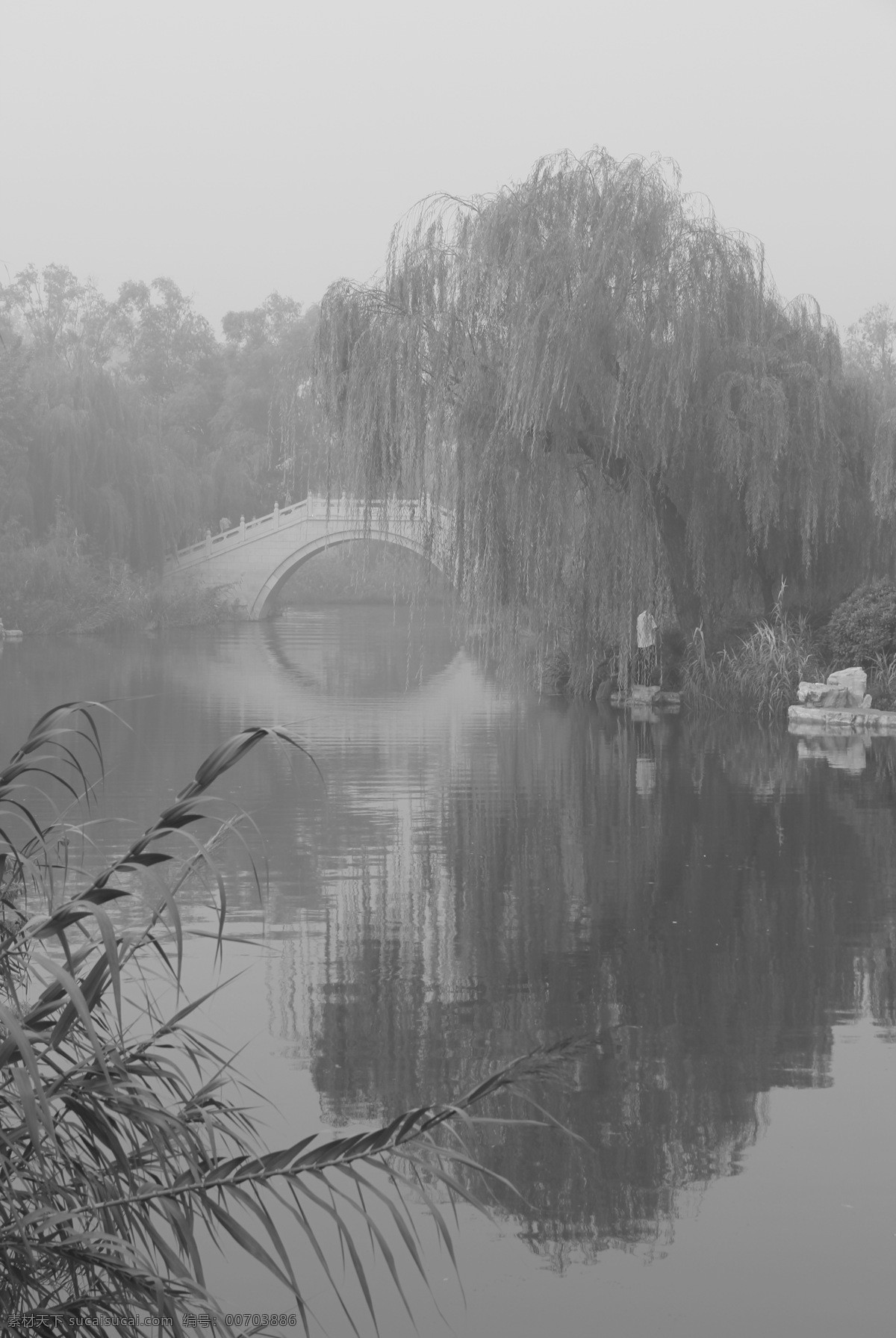静谧的大明湖 济南 风景 大明湖 垂柳 湖面 倒影 桥梁 黑白摄影 风光摄影 风景名胜 风景摄影 自然景观