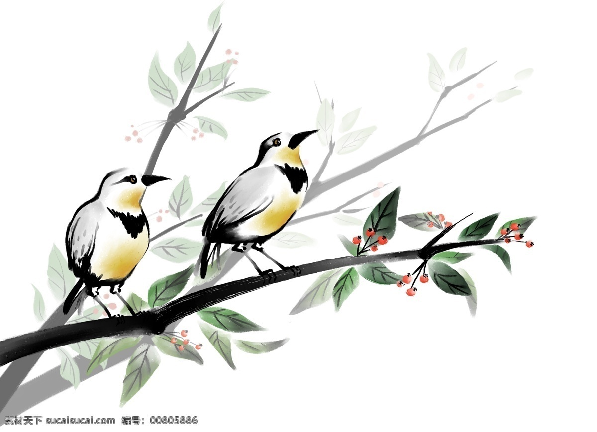 手绘 树枝 上 鸟 花鸟 植物 设计素材 分层 源文件