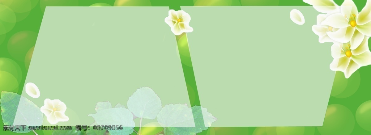 花朵 绿植 夏日 海报 背景 图 绿色 夏季上新 文艺 小清新 叶子