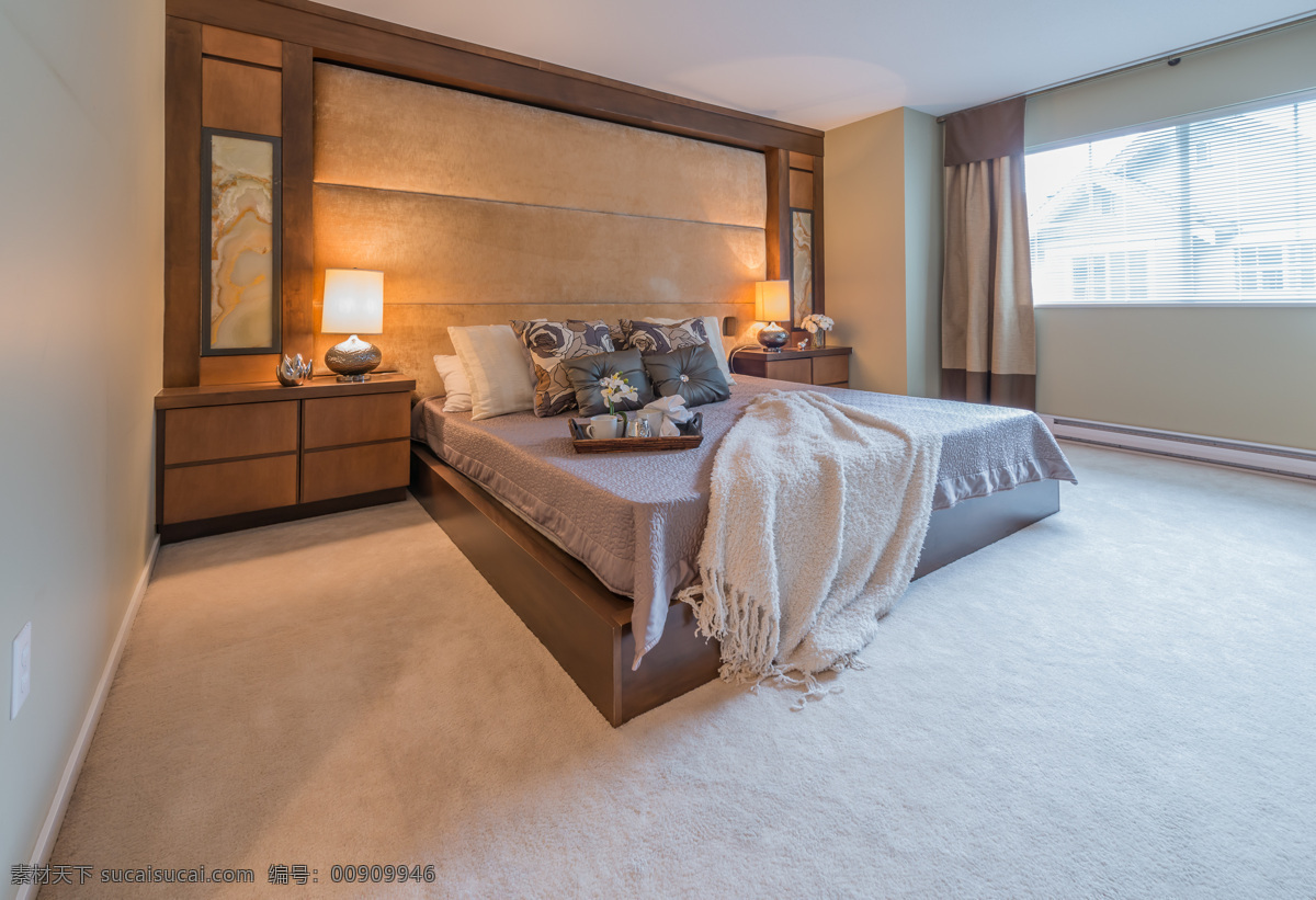 唯美卧室 唯美 卧室 炫酷 家居 装修 白色系 大床 简洁 简约 欧式 环境设计 室内设计
