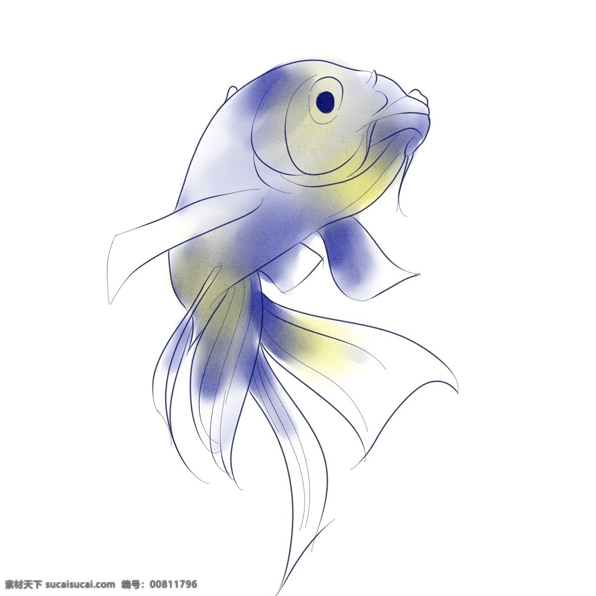水彩 海洋 动物 鱼 手绘 清新 生物 蓝色 线条 可爱 文艺 板绘