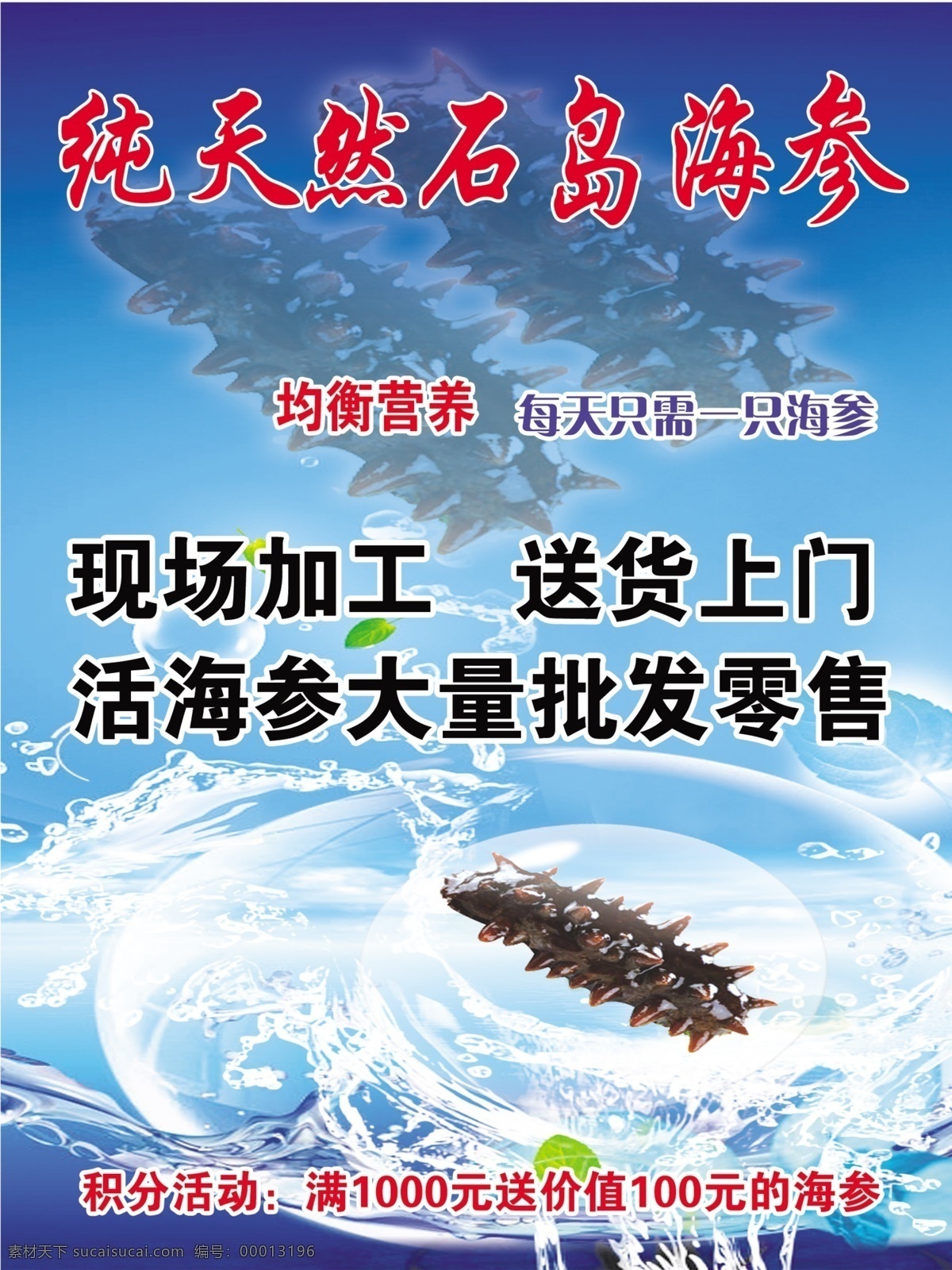 纯天然 石岛 海参 现场加工 送货上门 活 大量 批发零售 石岛海参 dm宣传单 广告设计模板 源文件