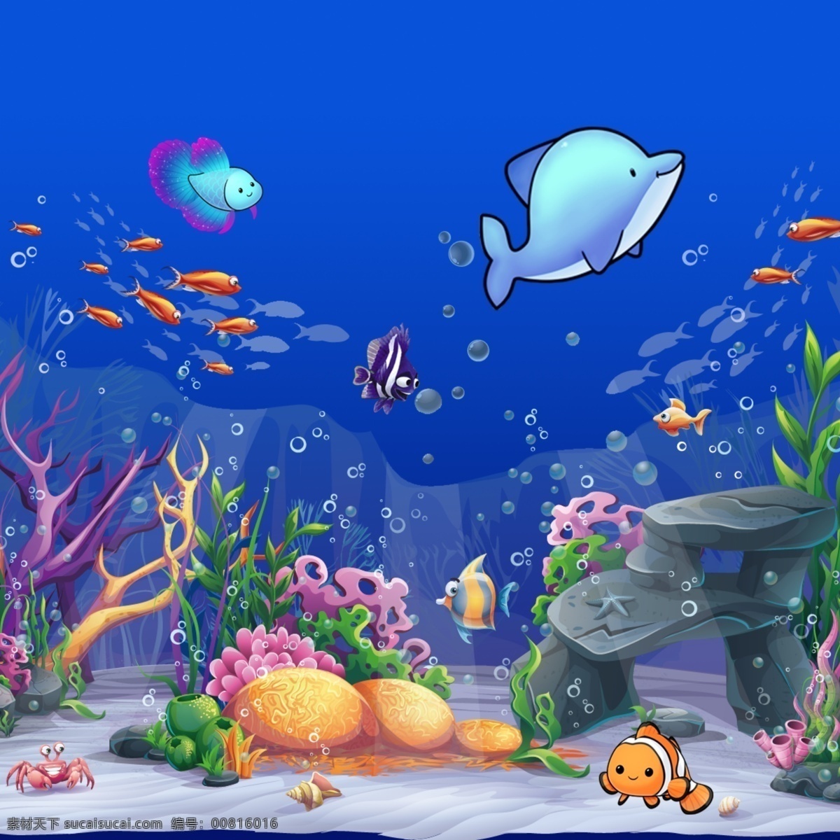 珊瑚礁 大海 海底世界 海水 蓝色海洋 清澈 湛蓝 热带 生物 生物世界 鱼类