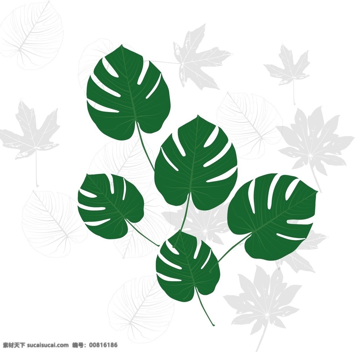 虚实 象生 风格 元素 树叶 热带植物 树叶素材