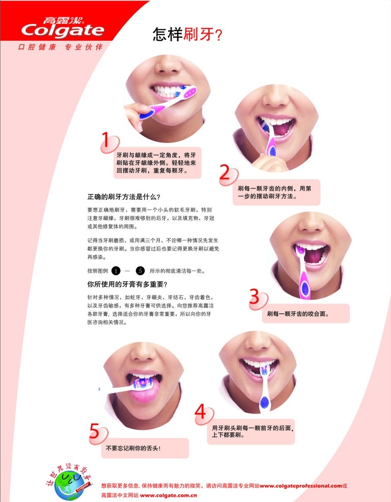 亚 云 口腔 宣传单 怎样刷牙 宣传 牙龈 解剖 海报 牙齿 高露洁 口腔广告 矢量