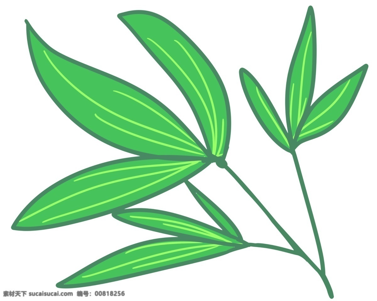 绿色 端午节 竹叶 插画 竹子 竹子叶 绿色竹叶 端午节竹叶 绿叶 漂亮的竹叶