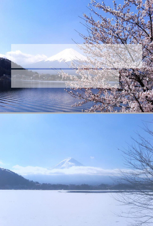 富士 山下 模板 风光 富士山 湖水 日本 雪景 樱花