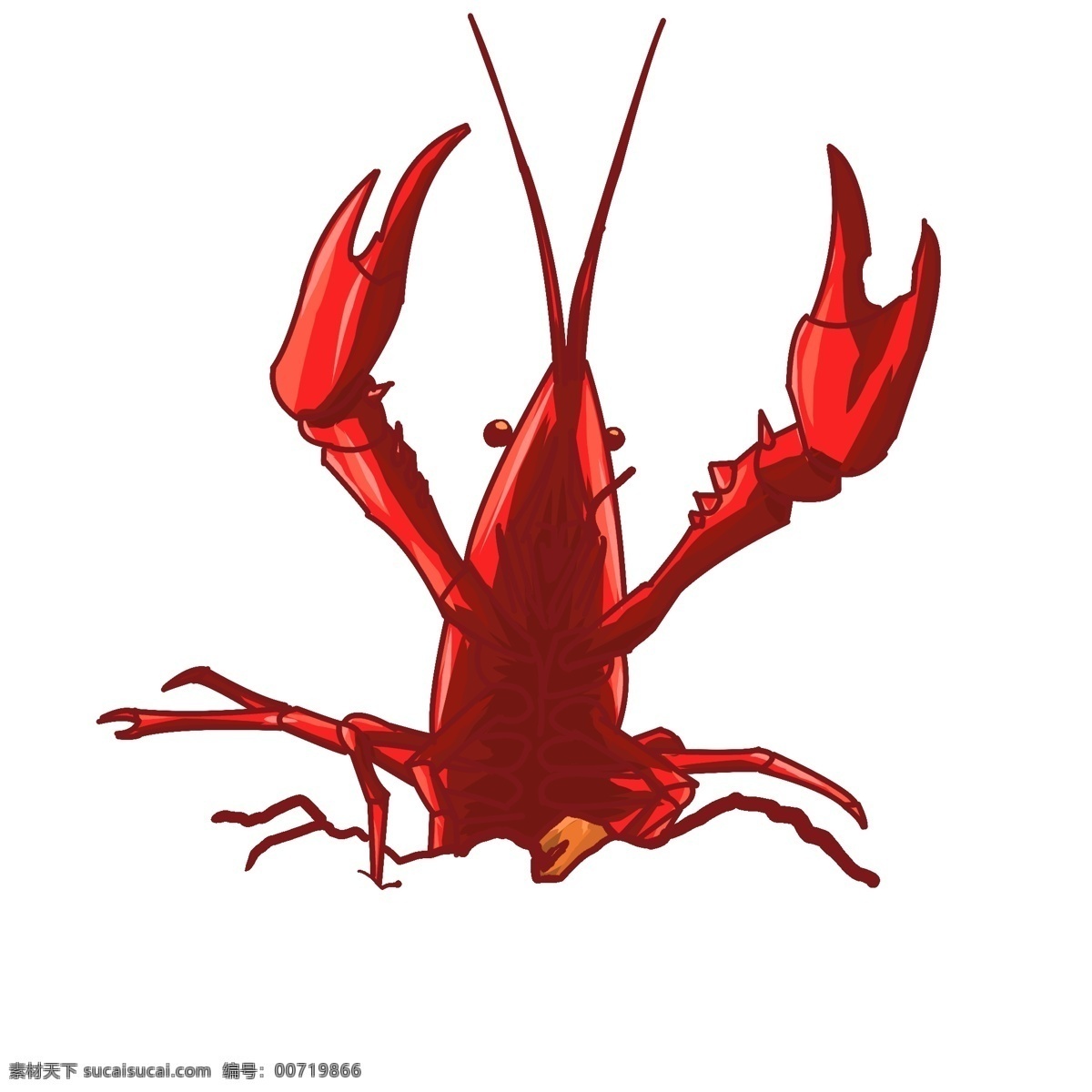 红色 海鲜 小 龙虾 动物 海洋生物