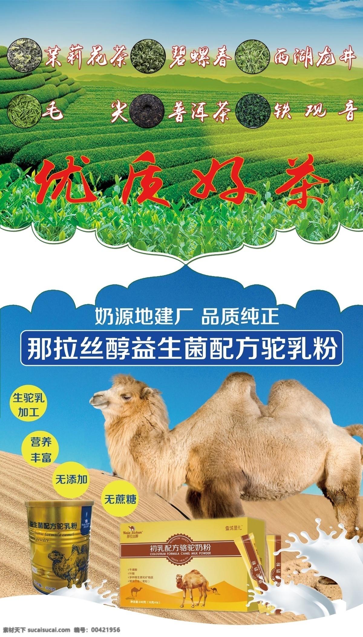 新疆驼奶 先进驼奶广告 驼奶 茶叶 骆驼