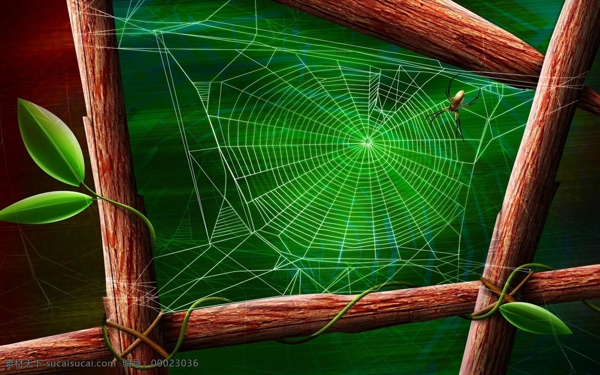 蜘蛛 蜘蛛网 手绘 动物 画 蜘 手绘动物画 设计素材 其它动物 动物插图 书画美术 黑色