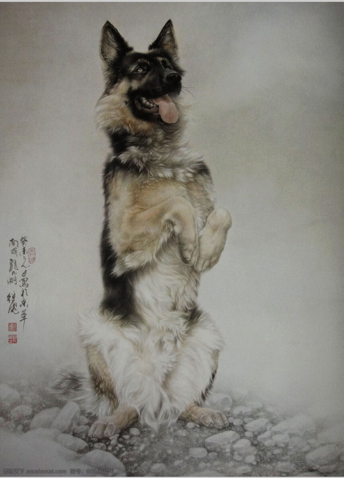 猎犬 猎狗 狗 观赏犬 国画 中国画 水彩画 水彩 写实 石头 油画 美术绘画 文化艺术