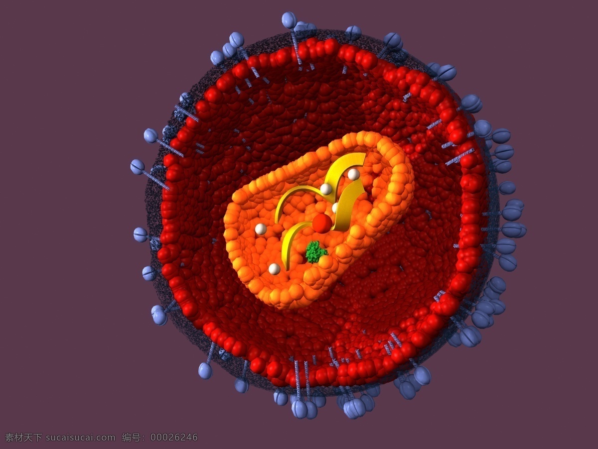 细胞结构 生物细胞 细菌 病毒 生物研究 科学研究 其他类别 生活百科 红色