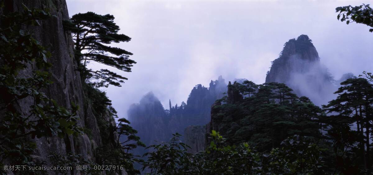 树免费下载 风景 山水风景 摄影图 树 植物 自然景观 水 家居装饰素材 山水风景画