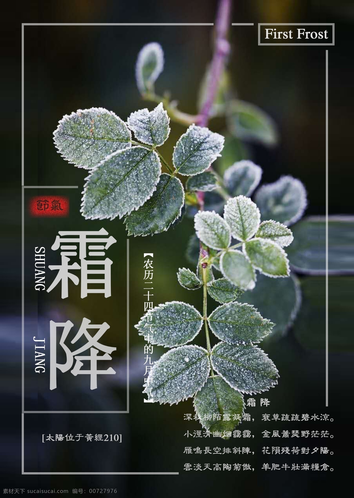 创新 二十四节气 霜降 海报 节气