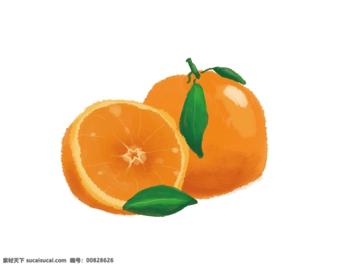 水果柑橘插画 插画 水果 柑橘 沃柑 手绘 小清新 分层