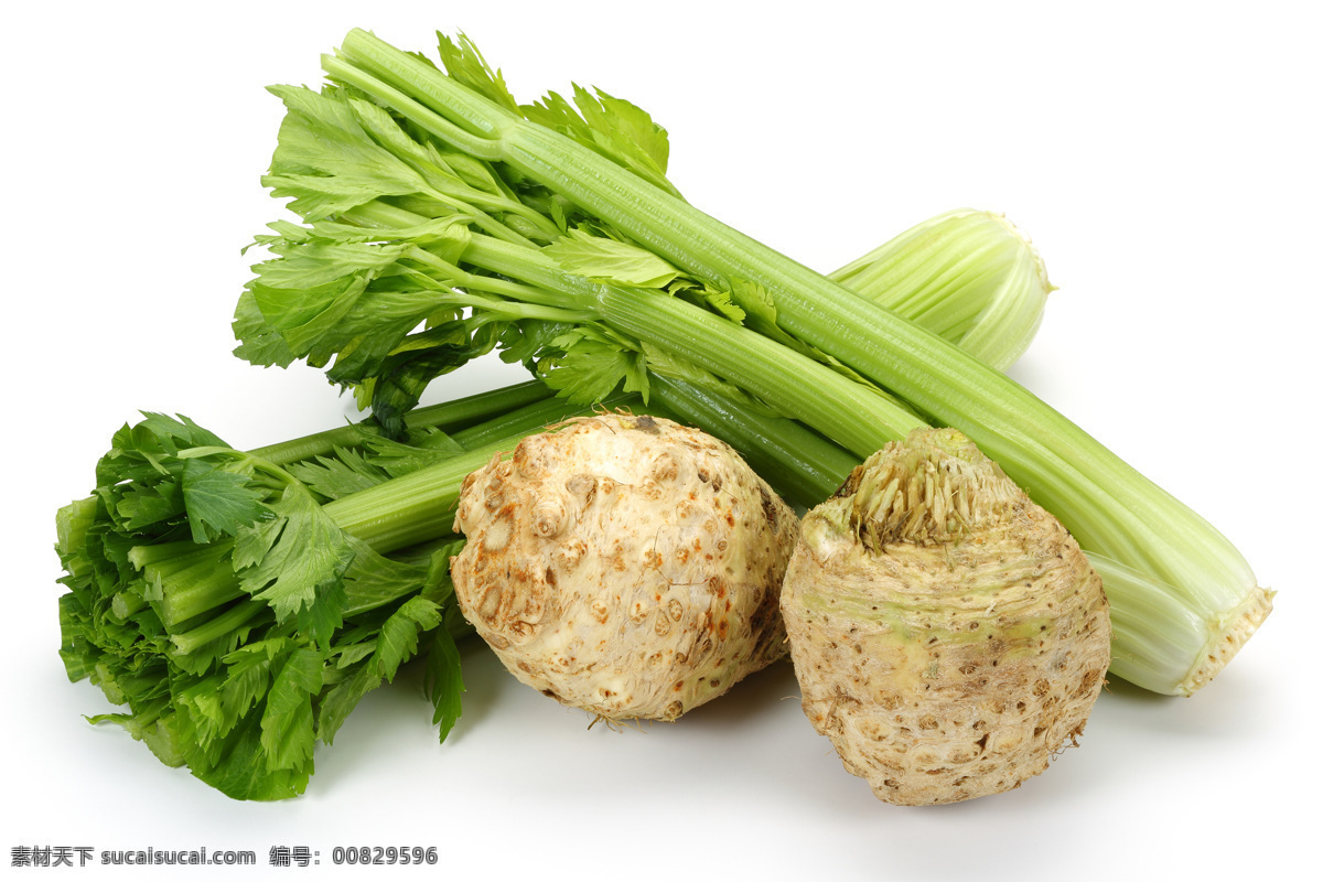 芹菜 西芹 蔬菜 蔬菜展板 蔬菜海报 蔬菜文化 蔬菜素材 蔬菜挂画 蔬菜饮食 蔬菜营养 蔬菜超市 蔬菜市场 蔬菜广告 新鲜蔬菜 绿色蔬菜 蔬菜模板 蔬菜图片 03蔬菜 餐饮美食 食物原料