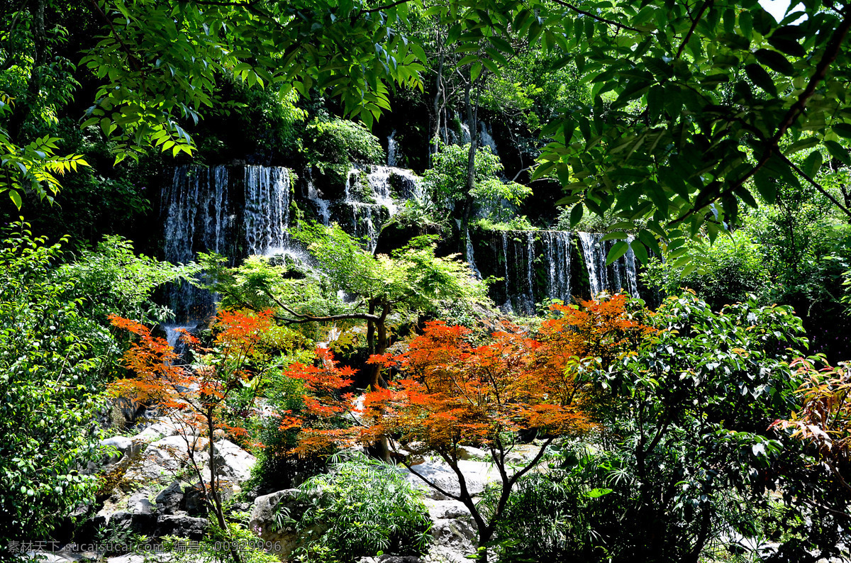 自然景观 瀑布 红枫 背景 壁纸 风光 枫 高山 广西 桂林 景观 流水 自然 桌面 山水 家居装饰素材 壁纸墙画壁纸