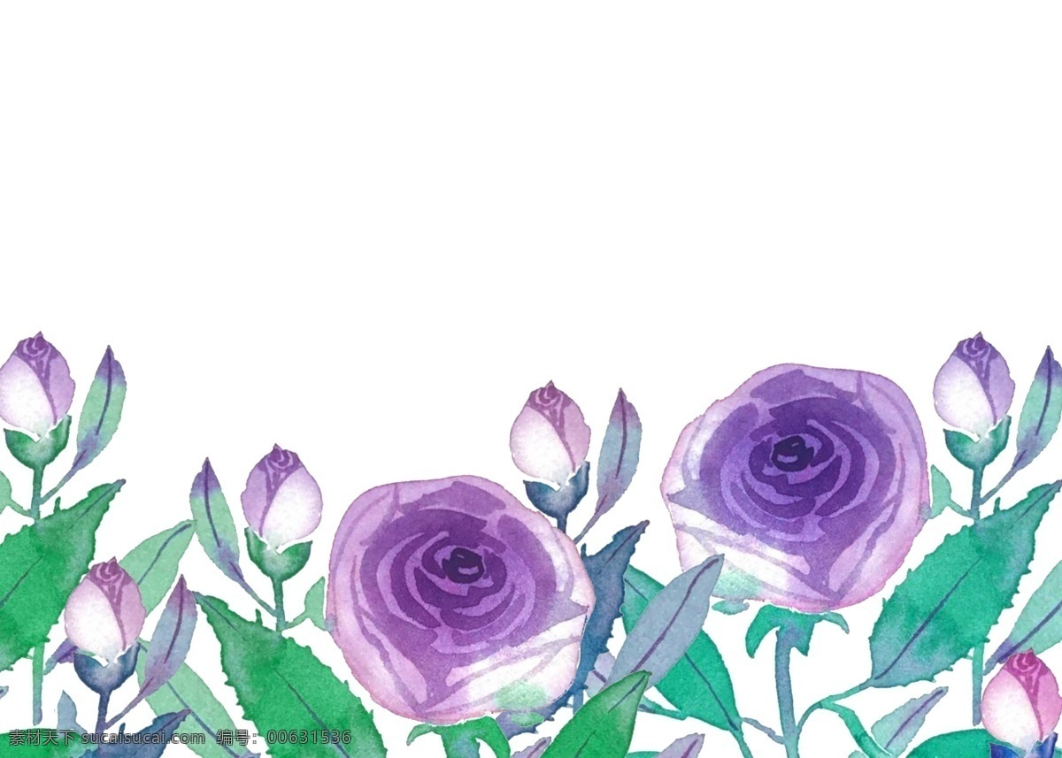 紫色 花朵 装饰 边框 水彩 花卉 花枝