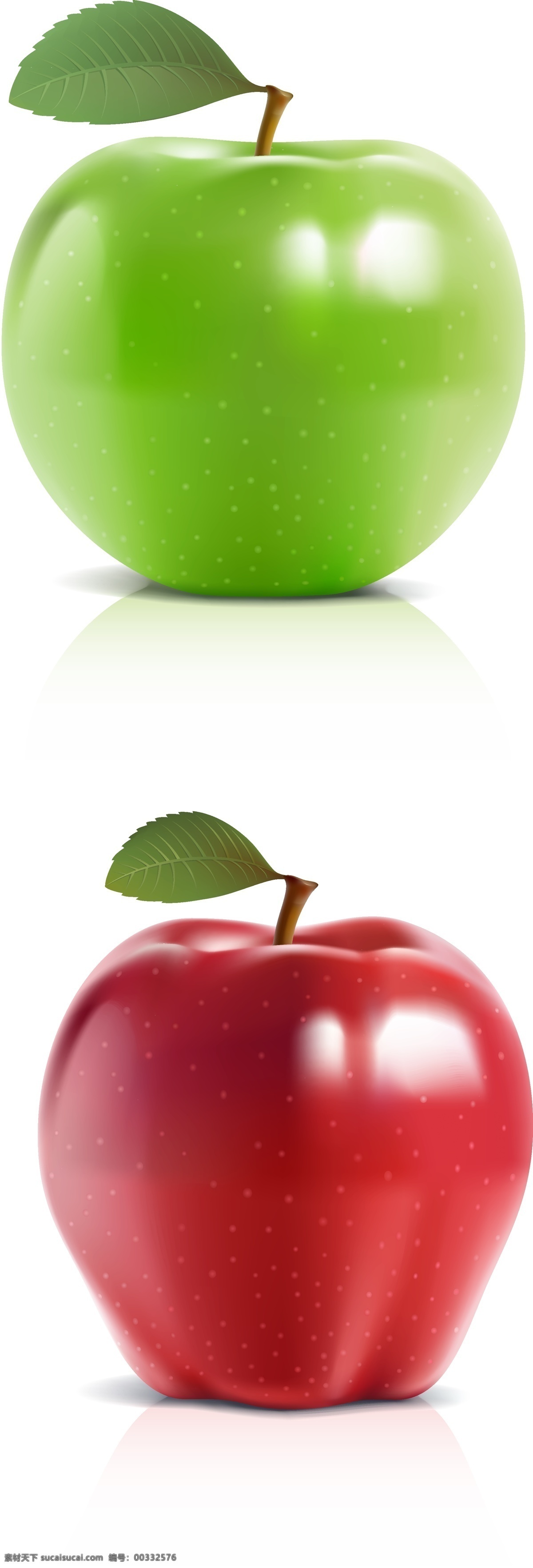 苹果 生物世界 矢量水果 矢量图库 水果 写真 新鲜 叶子 红苹果 青苹果 矢量 模板下载 细腻 水灵 蔬菜 花朵