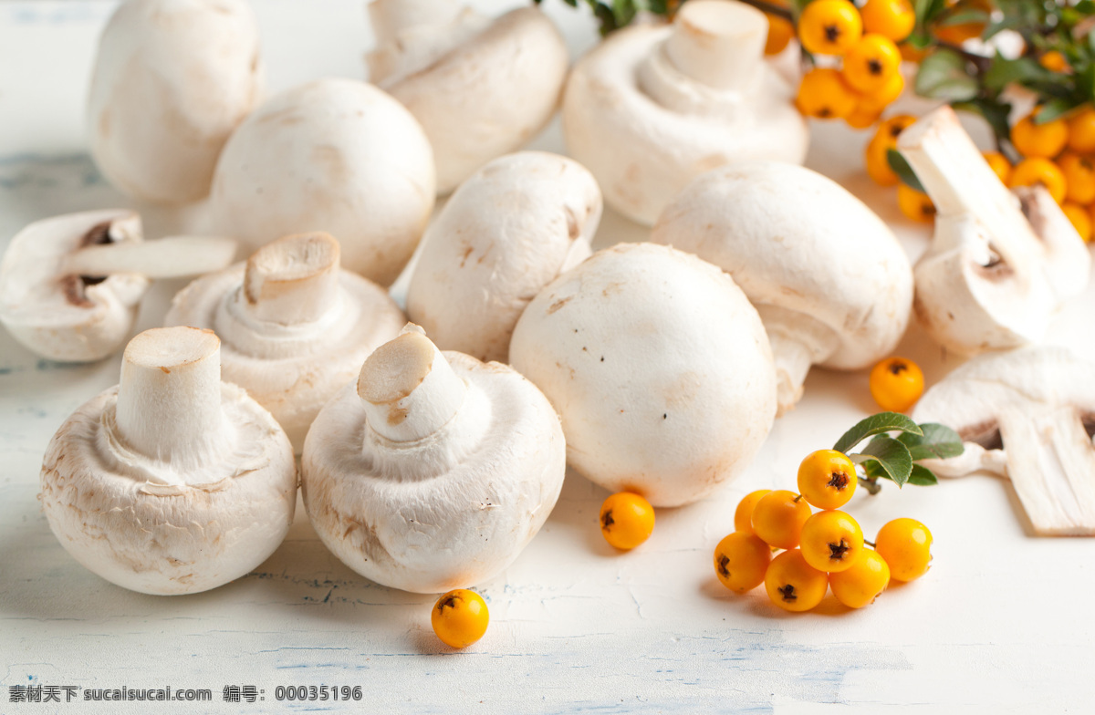 口蘑 香菇 花菇 菌菇 蘑菇 海鲜菇 农家花菇 冬花菇 白蘑菇 野生菌 野生蘑菇 食用菌 金钱菇 大花菇 新鲜花菇 随州香菇 湖北香菇 野生香菇 白底花菇 餐饮美食 传统美食