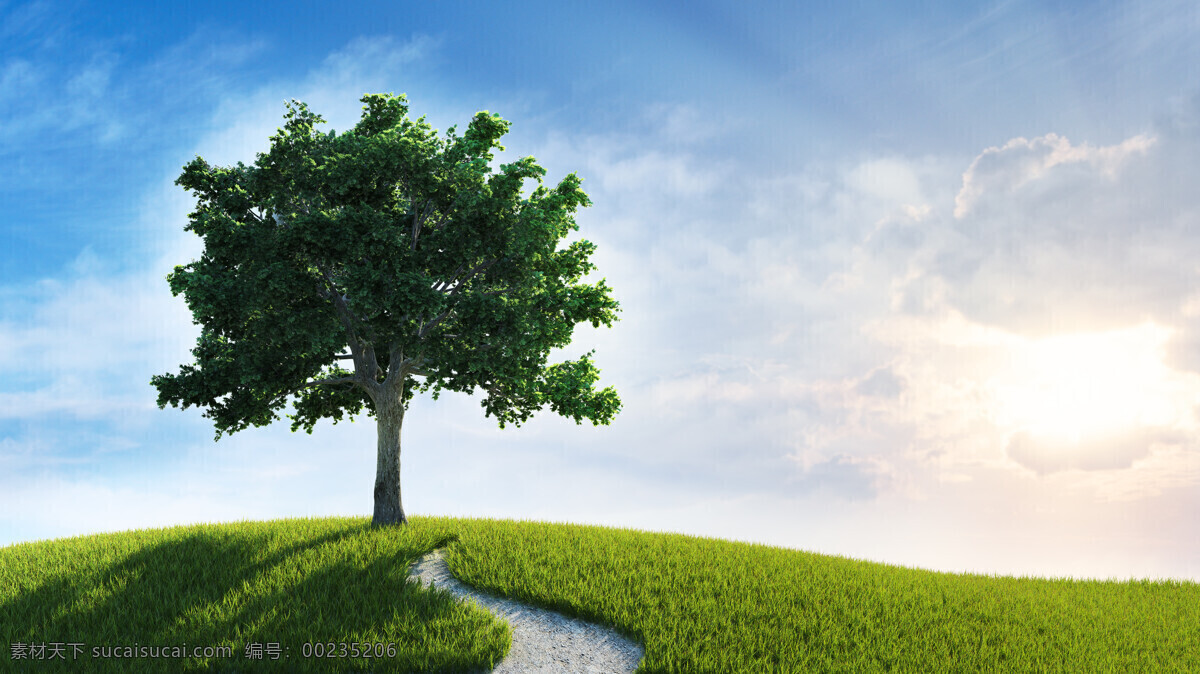 蓝天 下 一棵树 白云 树 阳光 草地 绿色环保 其他类别 生活百科 白色