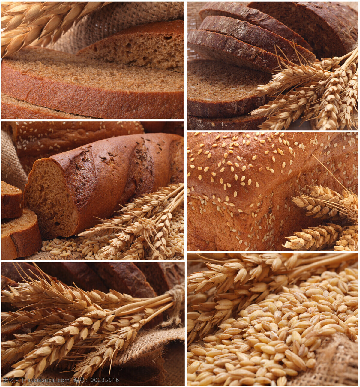 小麦食物拼图 小麦 食物 面食 面包 面包片 馒头 种子 稻谷 中华美食 餐饮美食 黑色