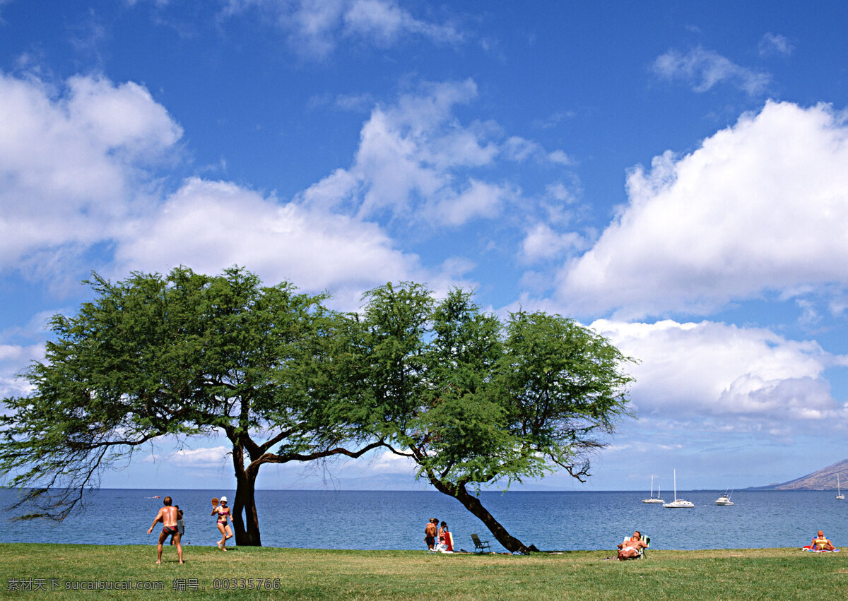美丽 夏威夷 海岸 风景 夏威夷风光 美丽风景 大海 海岸风情 蓝天白云 海面 海洋海边 自然景观 蓝色