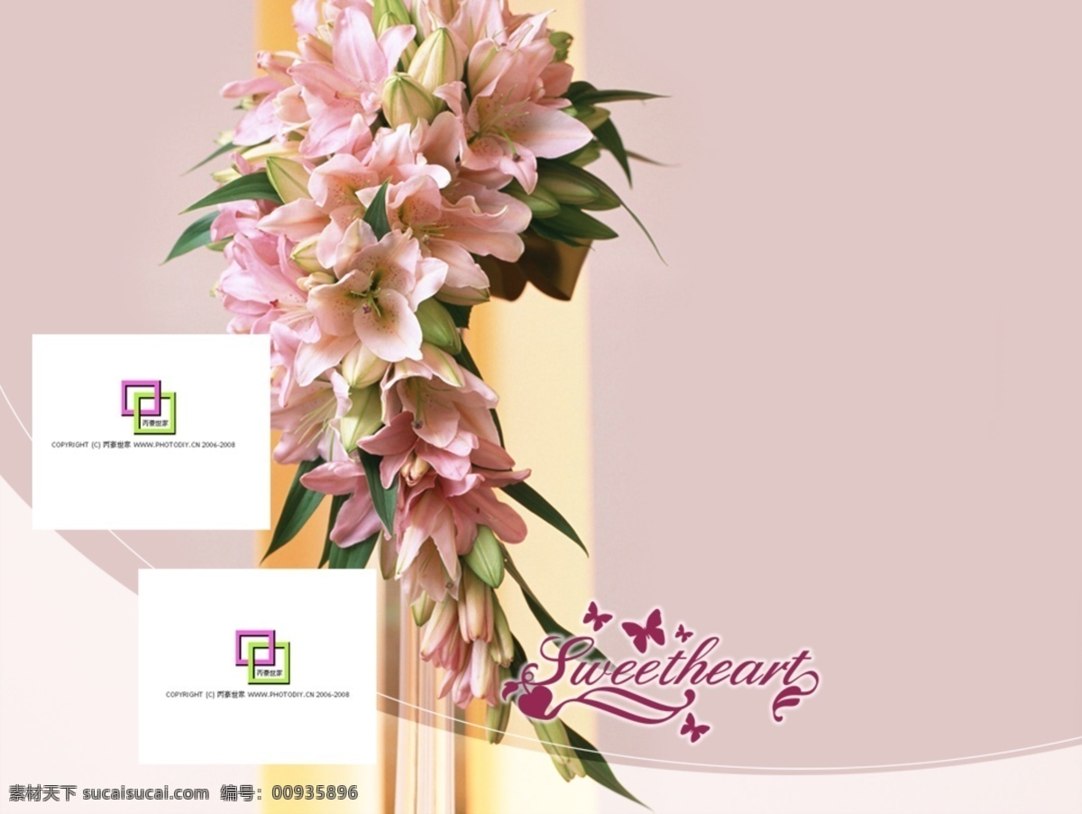 儿童摄影 模板 平面 库 分层 文件 边框 底纹 花纹 菊花 平面设计 相框 平面素材库 psd源文件 婚纱 儿童 写真 相册