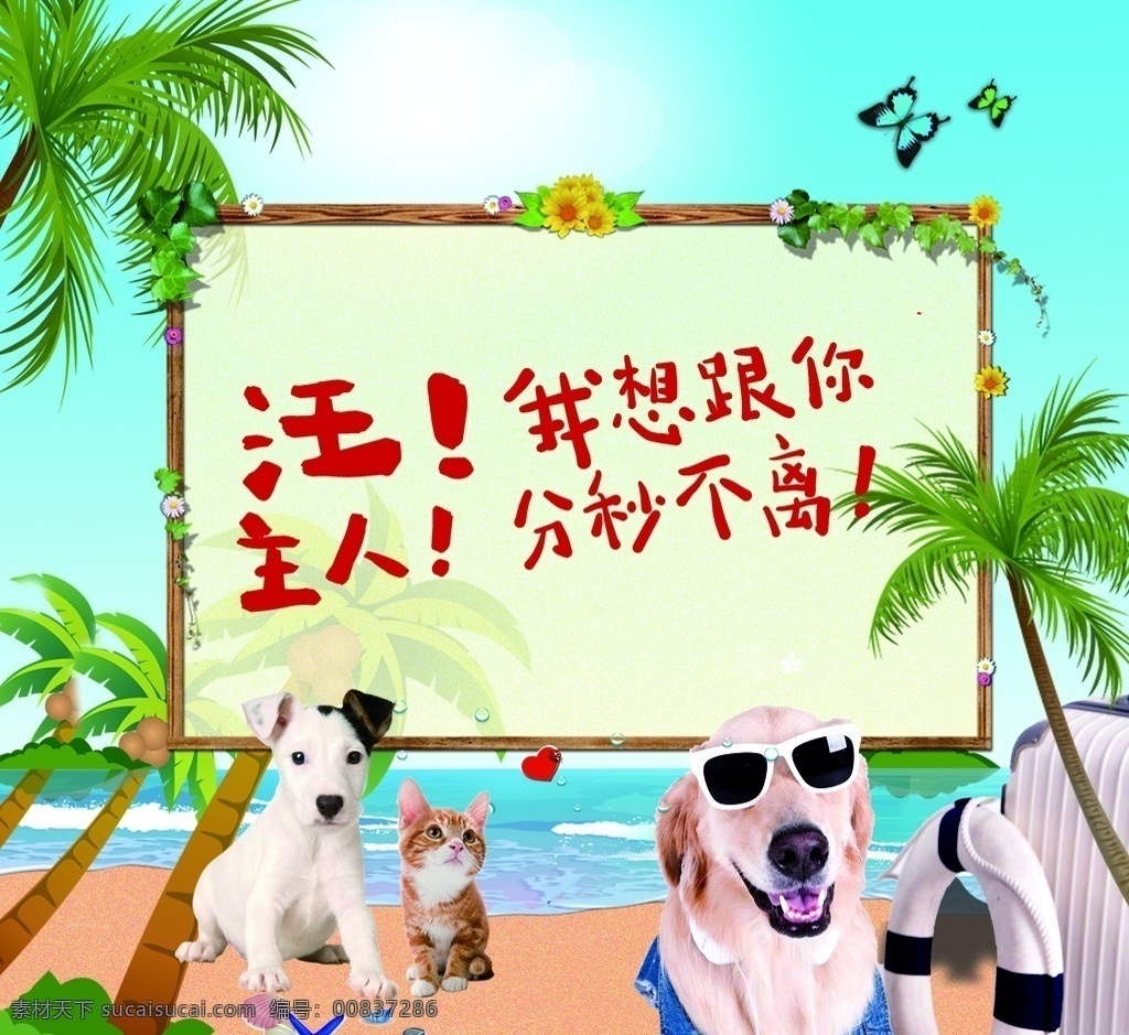 夏季宠物图片 夏季宠物 宠物 宠物宣传 宠物广告 宠物海报