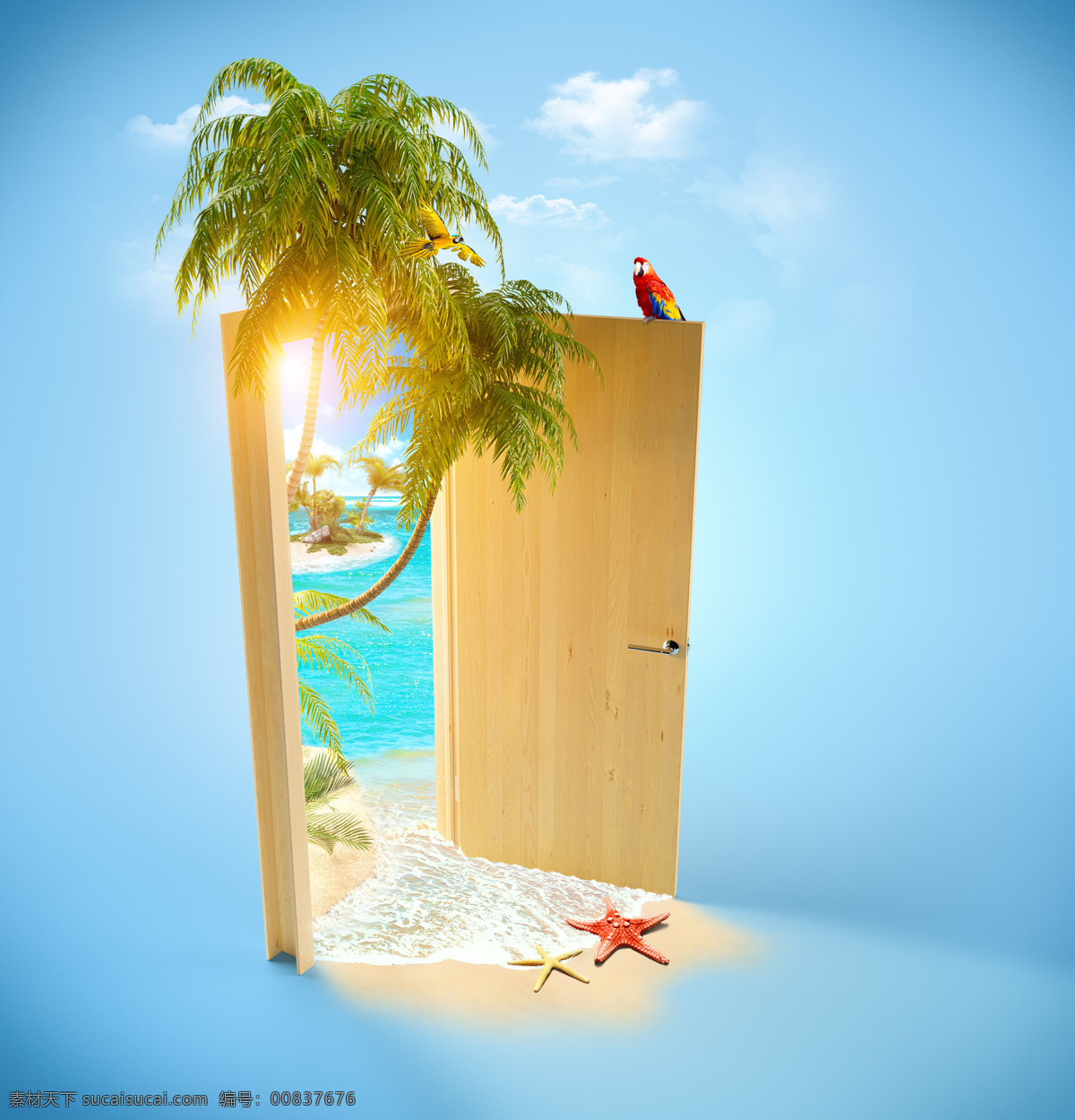 木门 外 沙滩 椰子树 鹦鹉 海星 度假 海报 背景 其他类别 环境家居