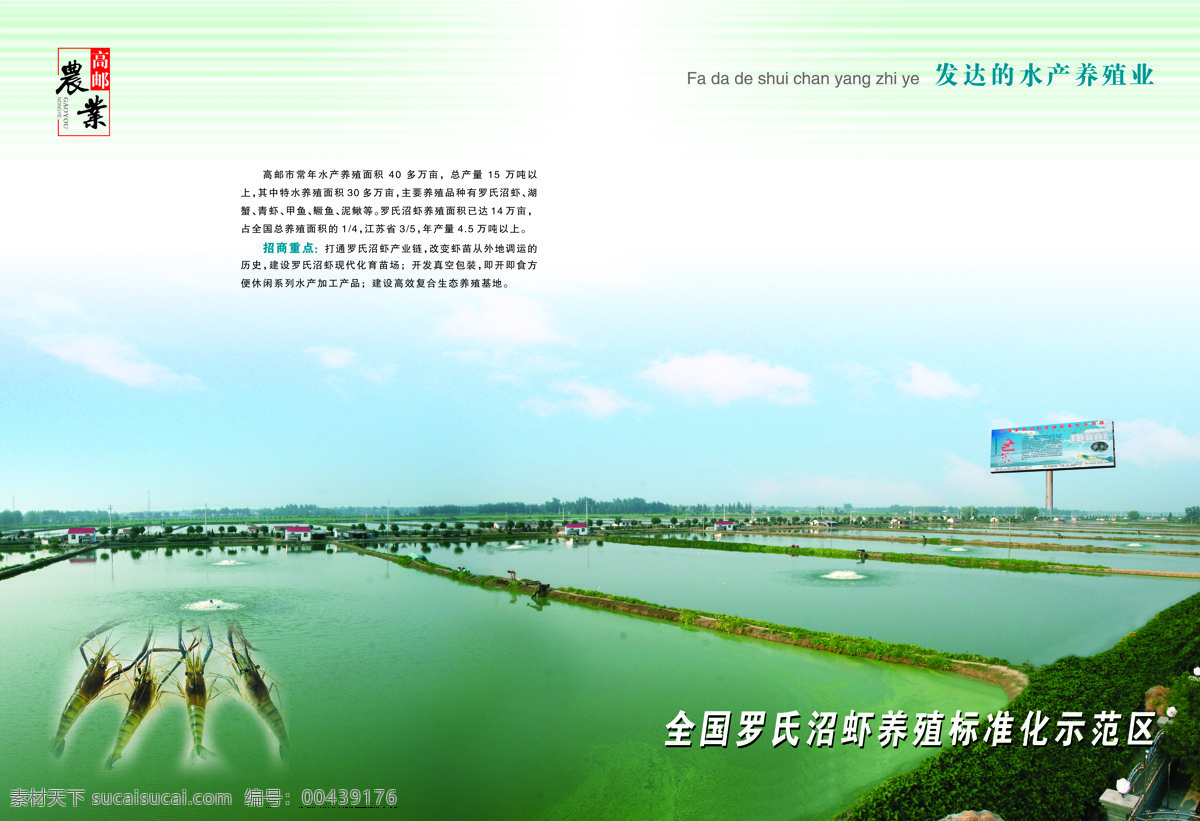 画册设计 设计图库 招商手册 高邮 农业招商 手册 设计素材 模板下载 农业 招商中心 招商 孤獨劍的作品 发展部 罗氏沼虾行业 水产 养殖业 海报 其他海报设计