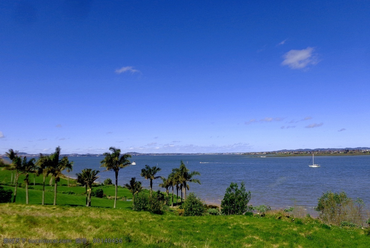 新西兰 海滨 自然风光 天空 蓝天 白云 远山 大海 海水 海湾 绿树 棕榈树 绿地 草地 游艇 风光 自然景观 自然风景