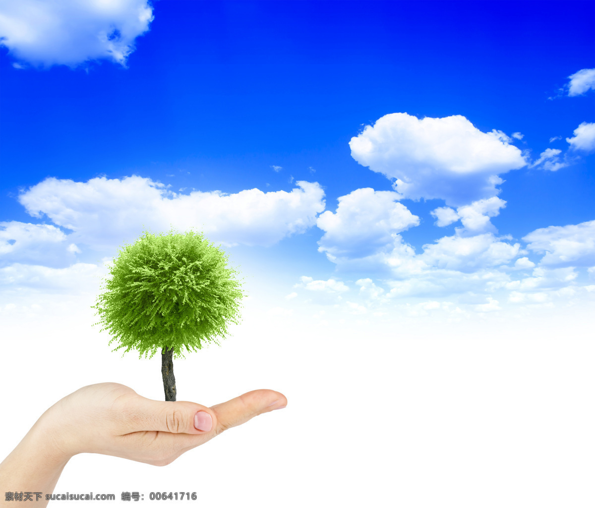 生态 自然 环境 绿色 草地 蓝天 环境保护 白云 大树 手托大树 山水风景 风景图片