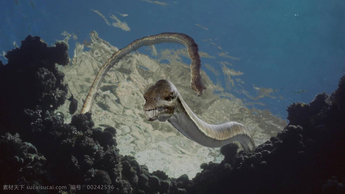 蛇颈龙 史前生物 史前世界 古生物 中生代 海洋爬行动物 生物世界