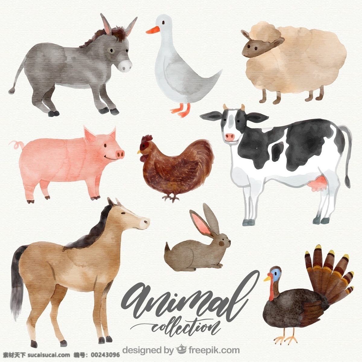 款 水彩 绘 农场 动物 矢量 驴 鹅 绵羊 猪 鸡 奶牛 马 兔子 火鸡 文化艺术 绘画书法
