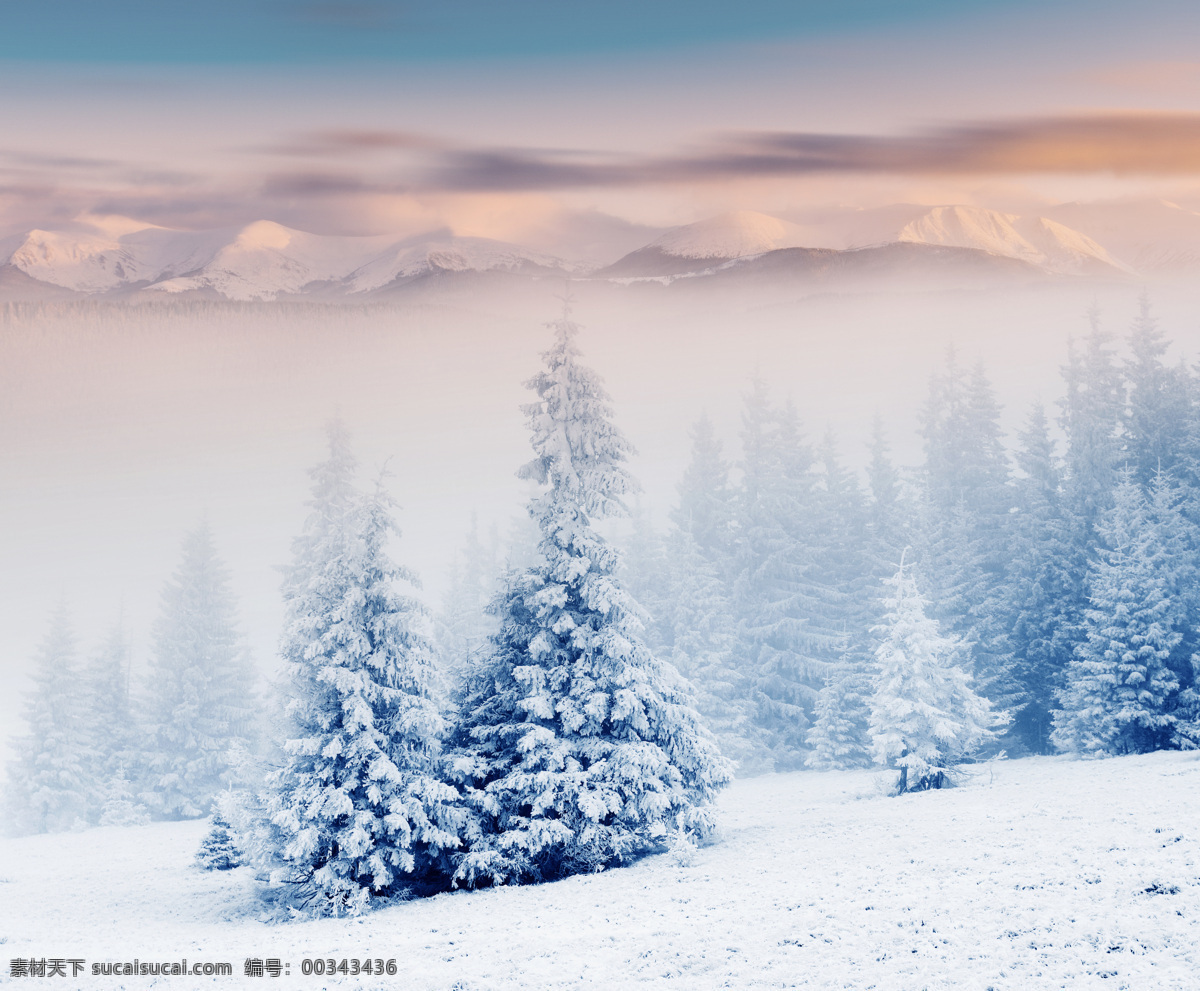 冬季雪景 冬季 冬天 雪景 美丽风景 景色 美景 积雪 雪地 森林 树木 冬季景观 自然风景 自然景观 白色