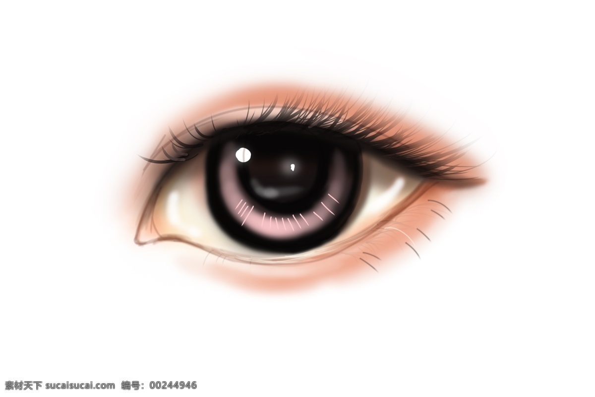 人体 器官 眼睛 插画 锐利的眼睛 卡通插画 器官插画 人体器官 身体器官 运作器官 女士的眼睛
