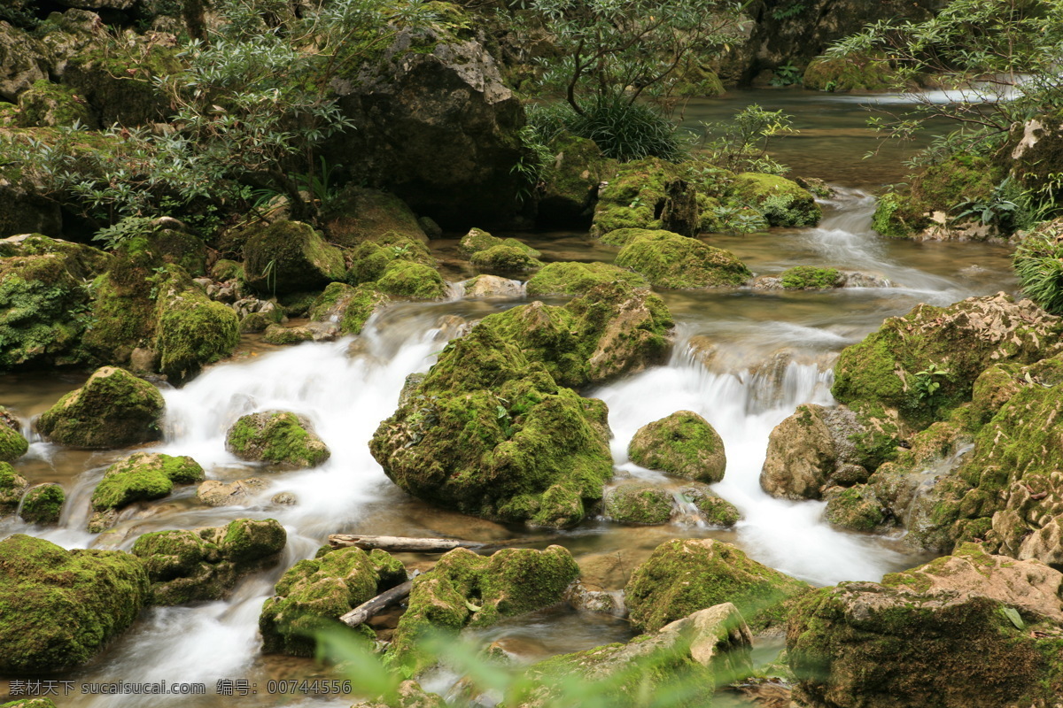 树免费下载 风景 山 山水风景 摄影图 树 植物 自然景观 水 家居装饰素材 山水风景画