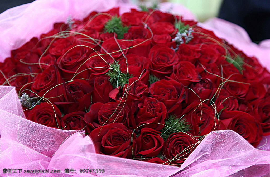 红色 玫瑰 花束 鲜花 花朵 花卉 火玫瑰