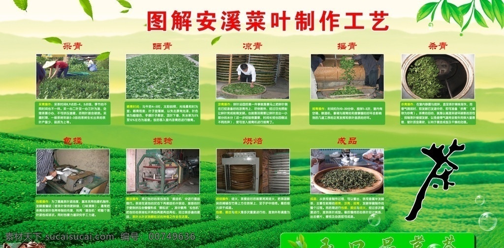 茶叶制作工艺 茶制作 茶 茶山 茶字 茶具 psd广告 分层 源文件