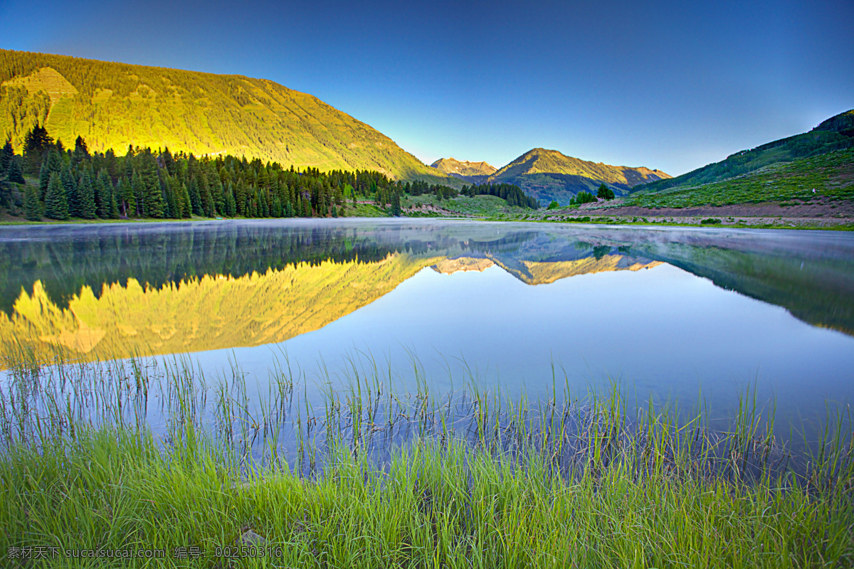 清新自然风景 自然 自然美景 自然风景 风景 自然景观