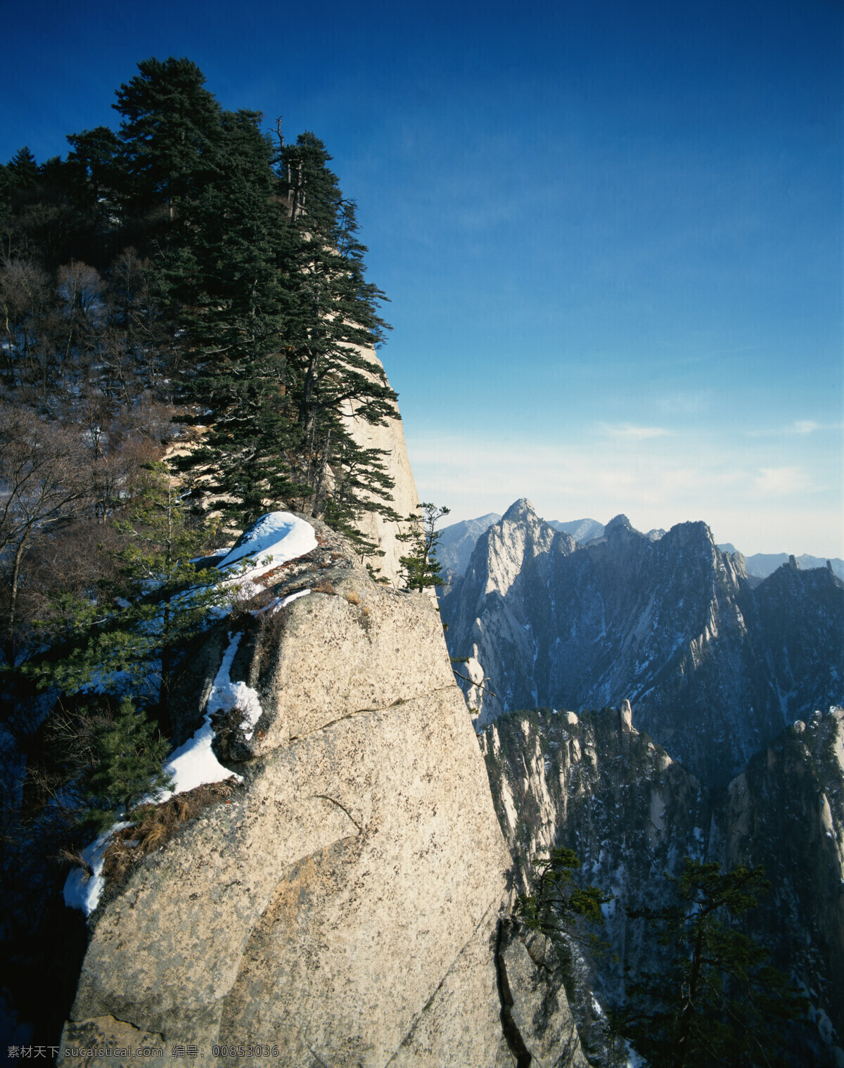 雪山 绿树 景观 天空 蓝天 白云 高山 悬崖 峭壁 树木 树林 松树 景色 高清图片 山水风景 风景图片