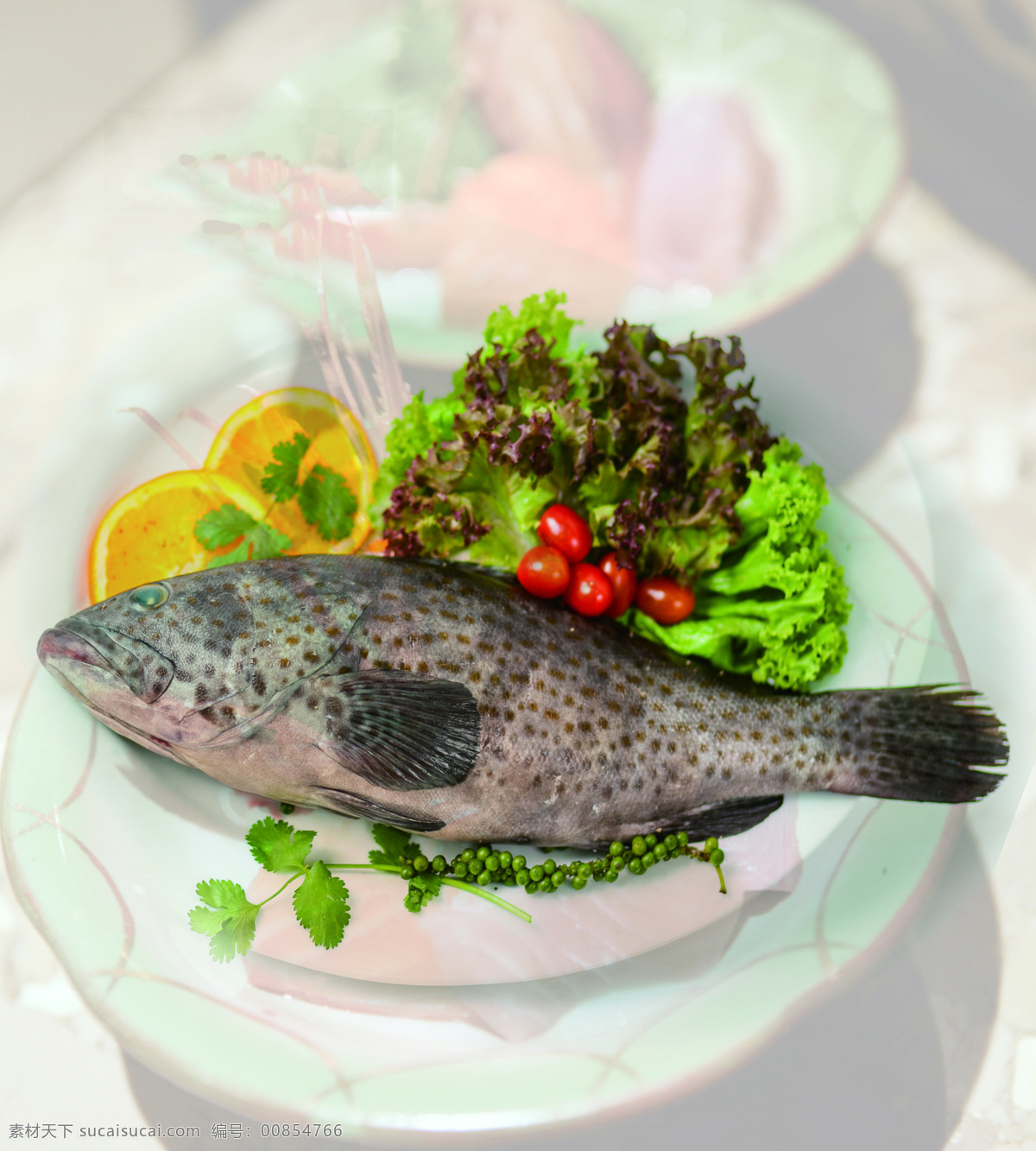 石斑鱼 高清 鱼 挂轴 大图 食物原料 餐饮美食