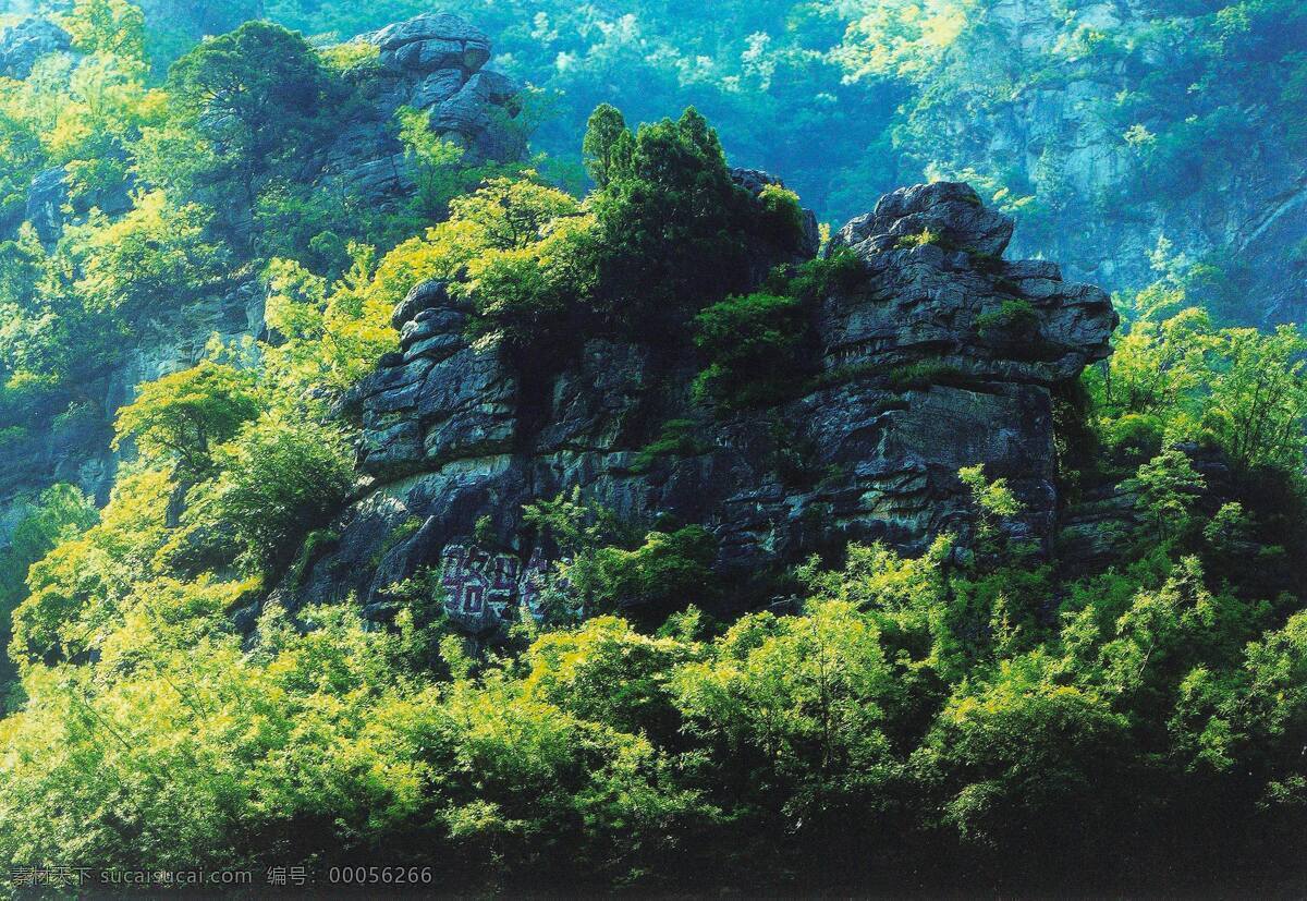 骆驼 峰 风景 　 景色 山 树林 巍峨 大山 生活 旅游餐饮