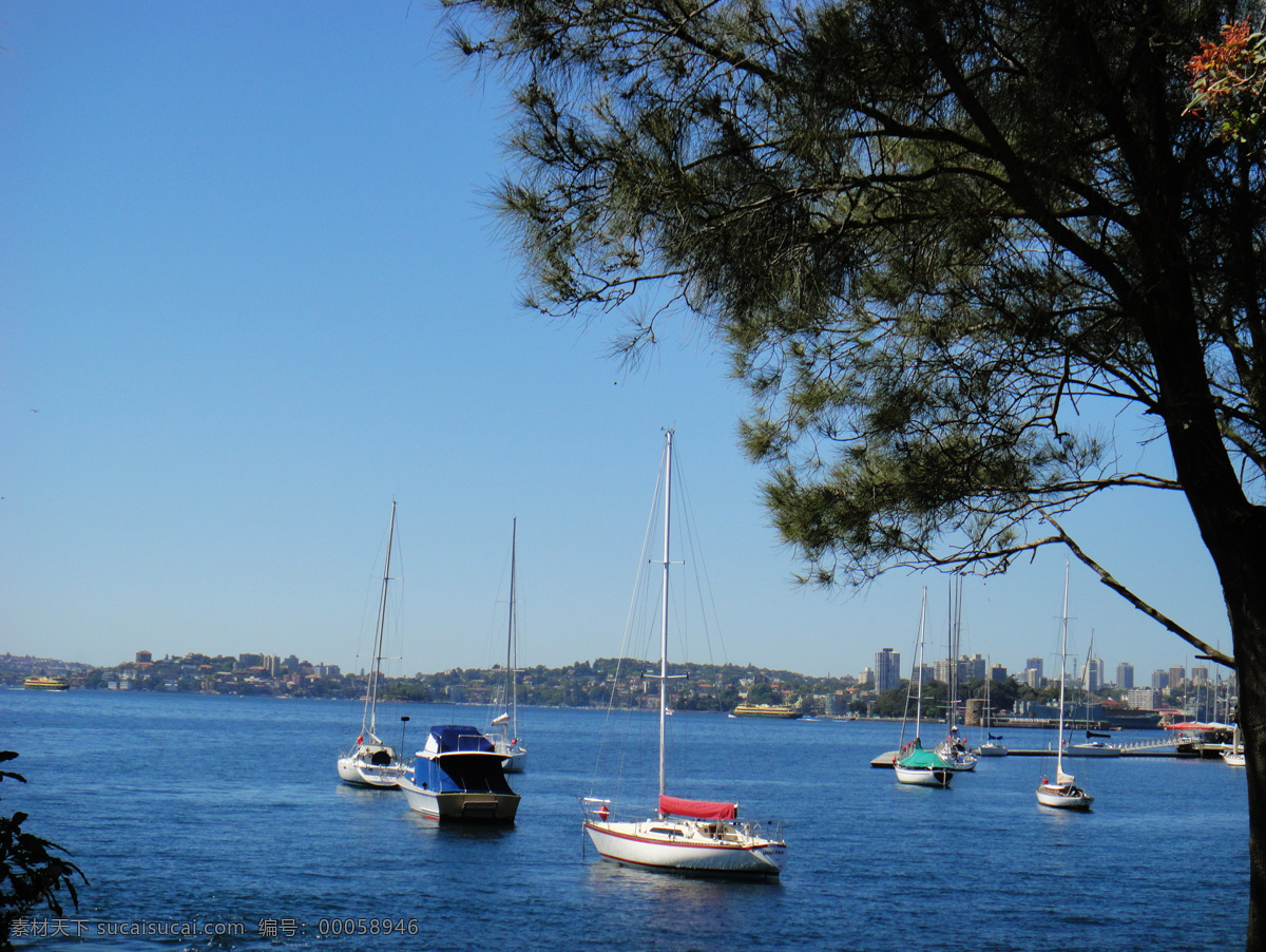风景 建筑景观 景色 蓝天 摄影图库 树木 小船 蓝天碧海 悉尼海景 悉尼湾 自然风景 自然景观 生活 旅游餐饮