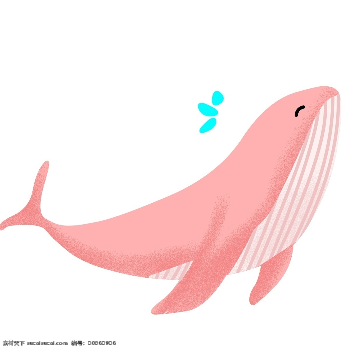 粉色 卡通 鲸鱼 插画 卡通鲸鱼 野生动物 大自然 喷水的鲸鱼 动物 粉色鲸鱼 游玩的鲸鱼 可爱