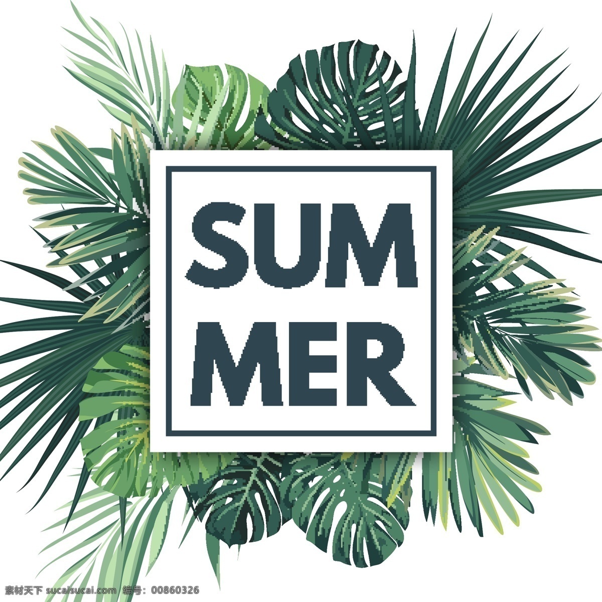 绿叶 树叶 夏天 图标 雨林 植物 矢量 背景 印刷 logo 内容 海报组合 小清新 卡通 填充 插画 海报 广告 包装