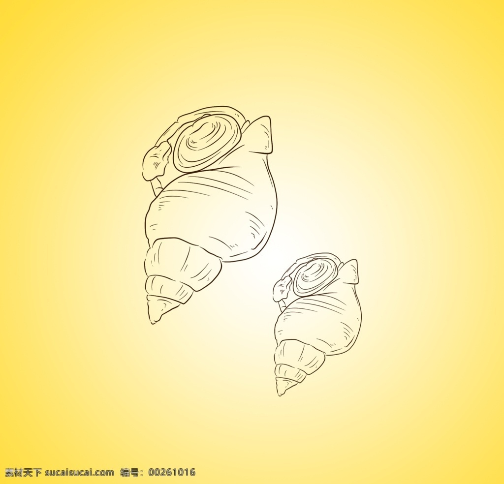 海洋生物 贝壳 海产品 海螺贝壳 螺类 工艺品 艺术品 博物馆 鹦鹉螺 装饰品 海鲜 海上贝壳 素描海螺 线条海螺 海螺简笔画 手绘海螺