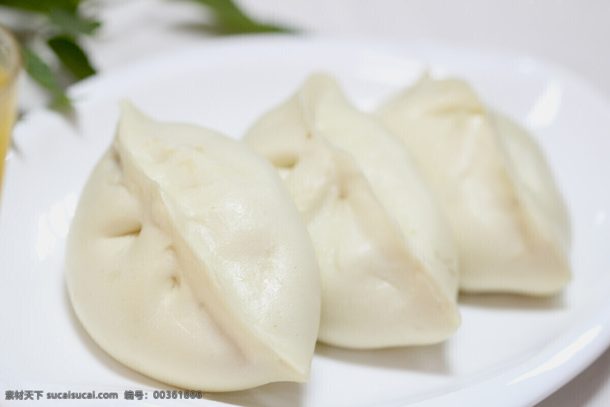 美味蒸包 大包 包子 面食 面点 餐饮 食品 美食 餐饮美食 传统美食